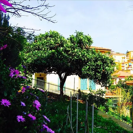 Maison d'hôtes Levante Blu 3*