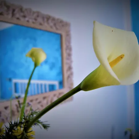 Maison d'hôtes Levante Blu 3*