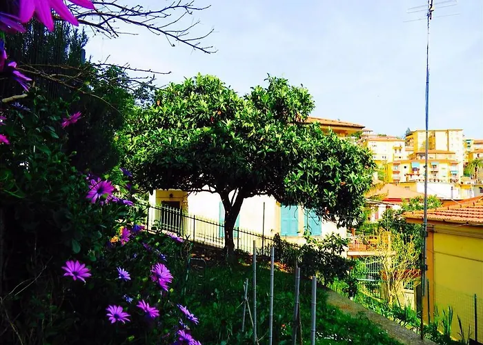 بيت ضيافة Levante Blu 3*