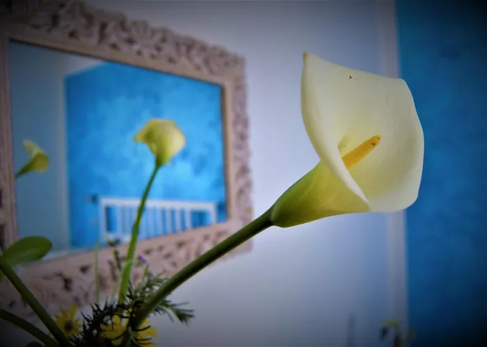 بيت ضيافة Levante Blu 3*